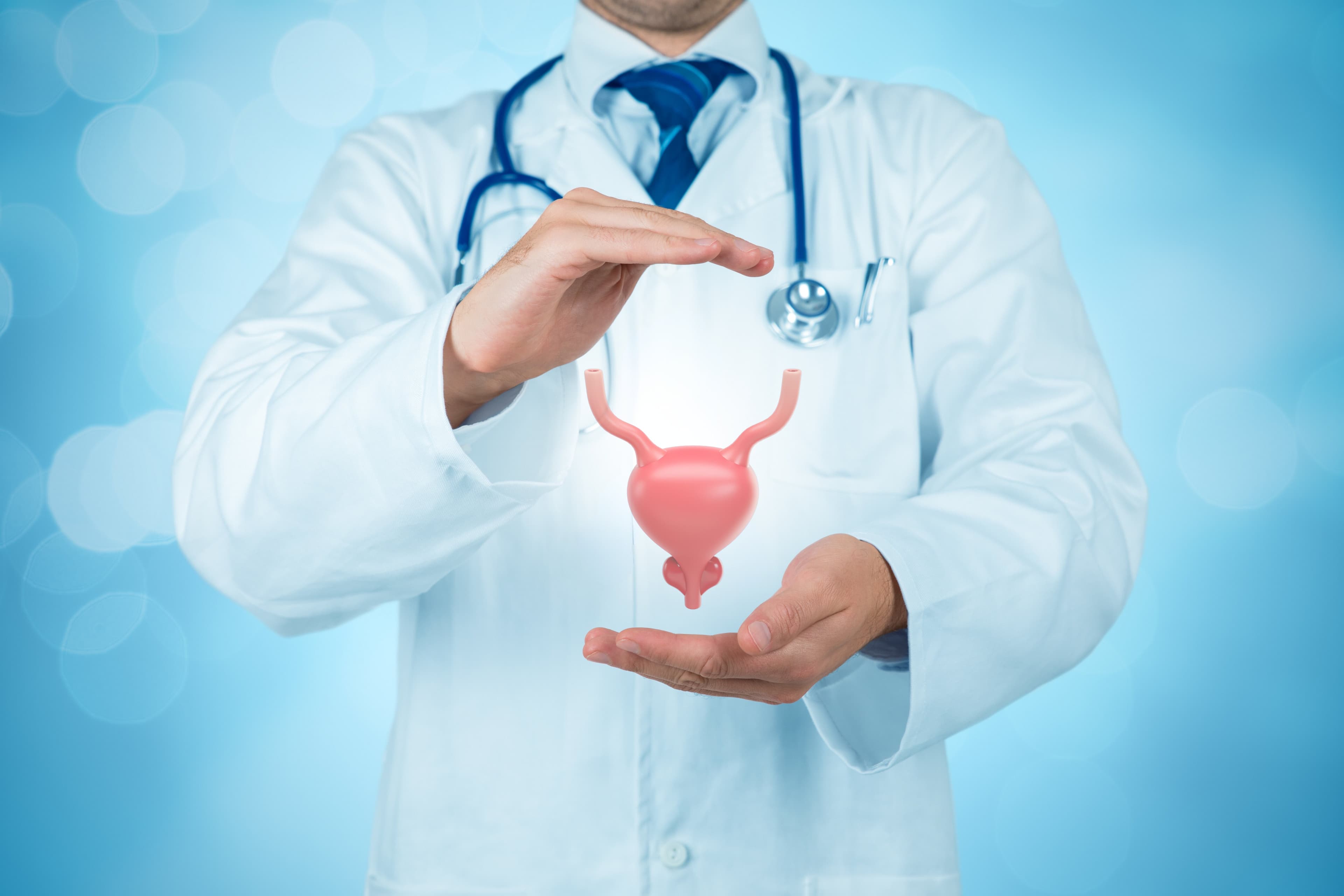 Prostata: çfarë është dhe cili është funksioni i saj
