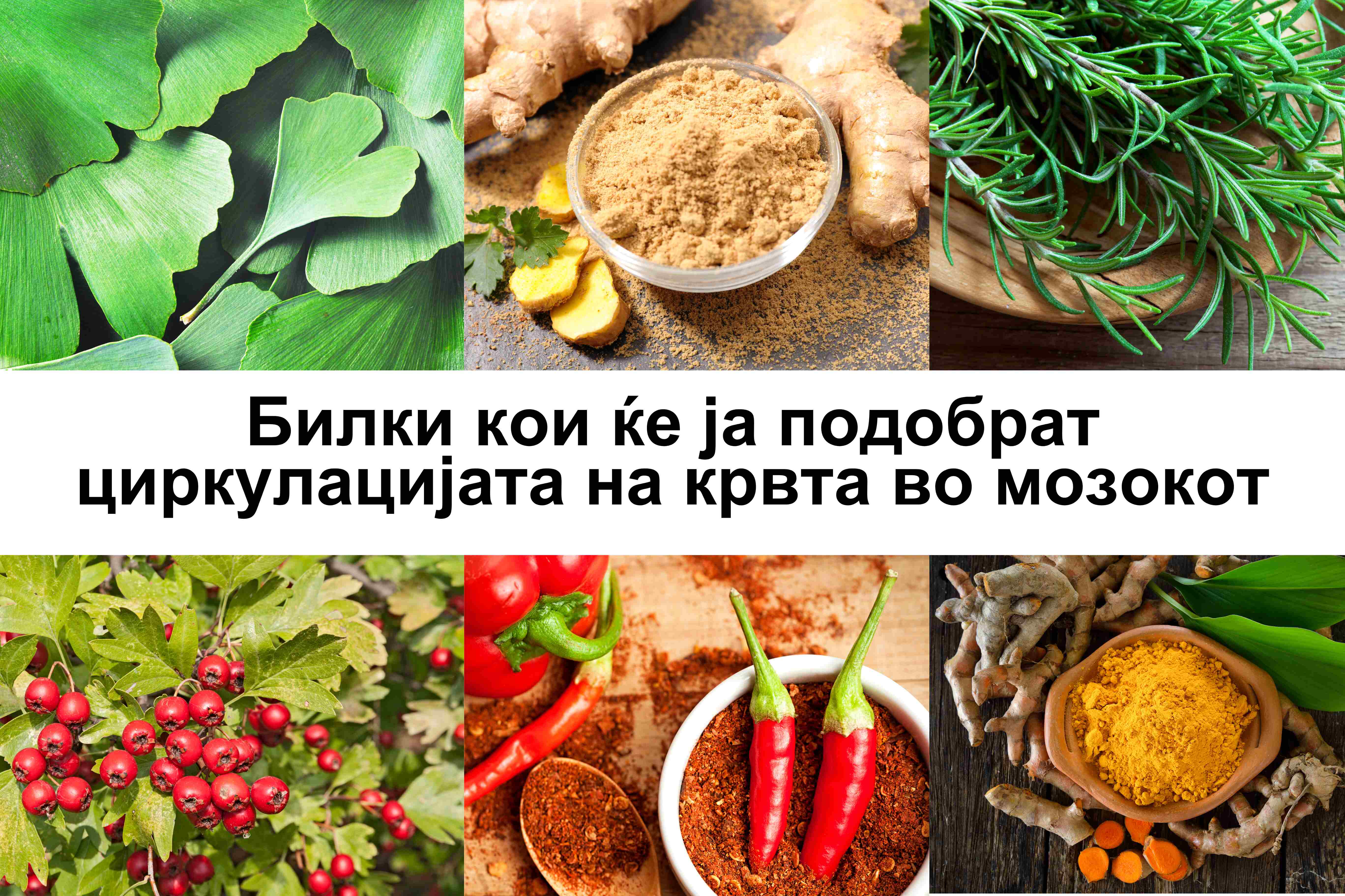 Bimët për qarkullimin e gjakut në tru: traditë, prova dhe kufij