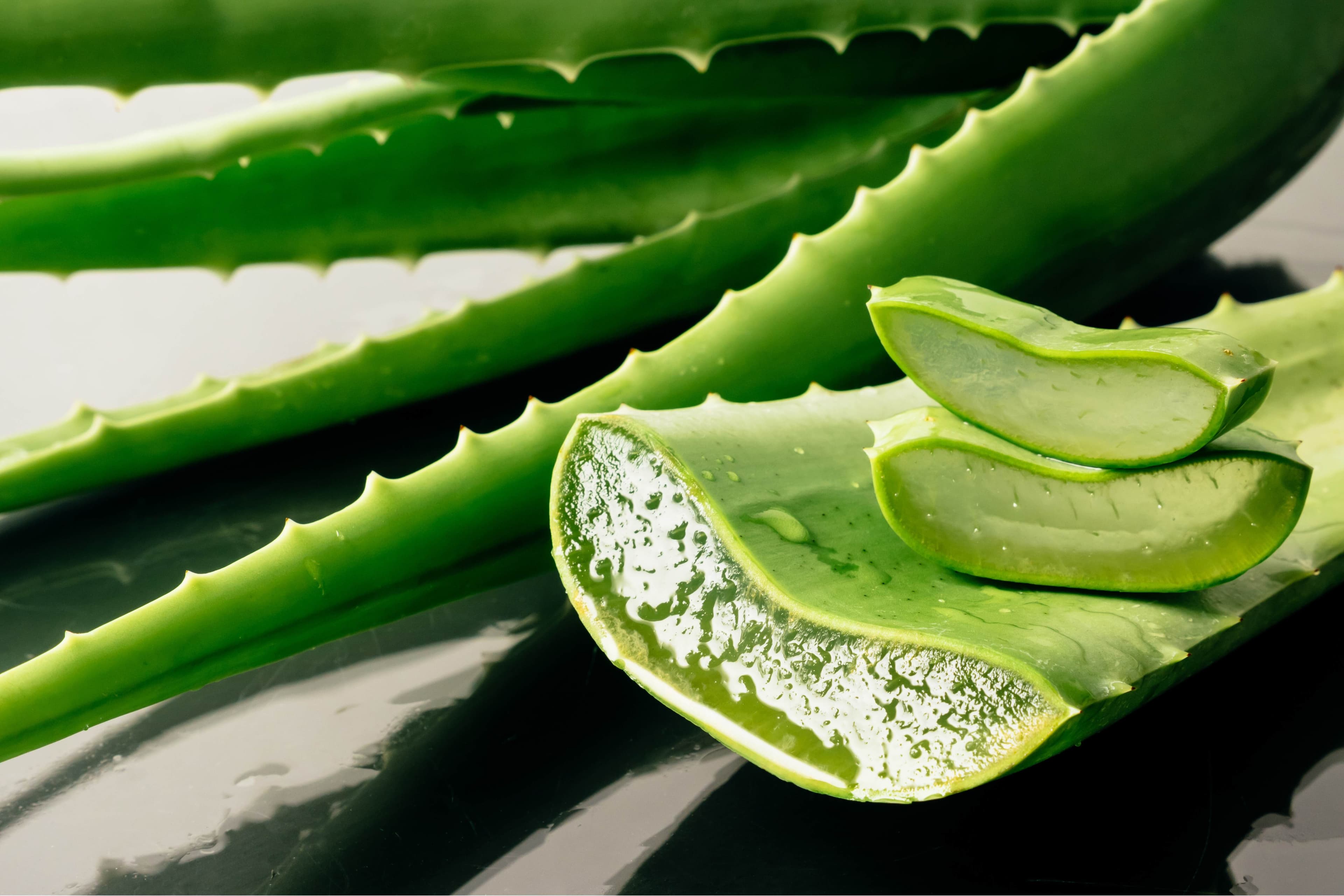 Si dhe kur të merret aloe vera: cilësi, kohë, siguri